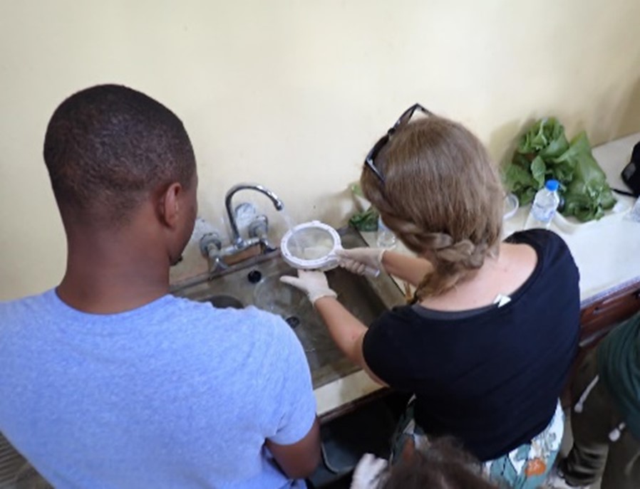 Dr Juhász and David Lally demonstrating faecal hatching