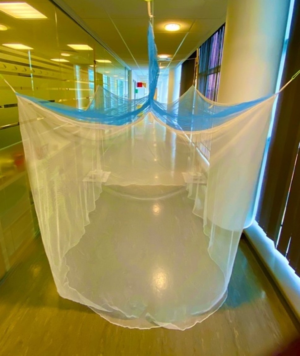 barrier bednet