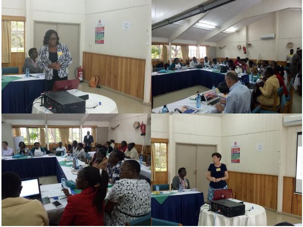 A section of participants, with Dr Olukemi Tongo (top left) and Dr Alison Talbert (bottom right) giving presentations during the symposium