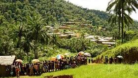 Diploma in Tropical Medicine and Hygiene Online Information Session