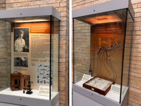 Two display cases containing archives relating to Alwen Evans