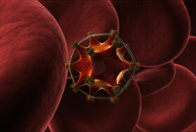 The HIV virus