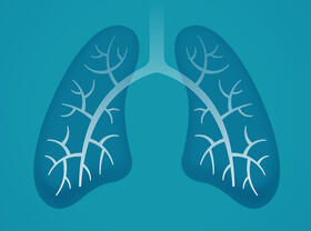 Lung illustration
