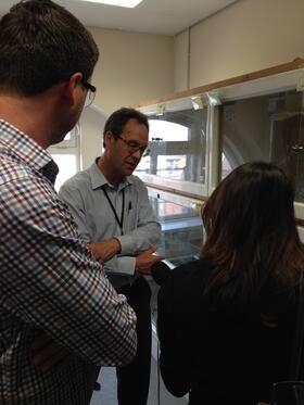 Tulip Mazumdar BBC World visits the Venom Research Unit