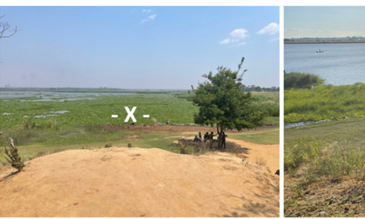 Snail collecting images with a focus upon Chikwawa 1 location where a single shell of Biomphalaria was found within the oxbow lake.This oxbowis now heavily colonised by water hyacinth, choking the shoreline designated "-X-" whereas previously, it was much clearer of this invasive water plant.