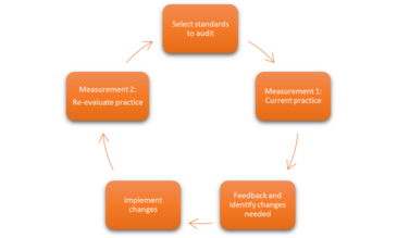 The standards-based audit (StBA) cycle  Source: Liverpool School of Tropical Medicine (LSTM)