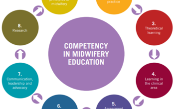 WHO sets out the 8 domains of midwifery educator core competencies / source WHO