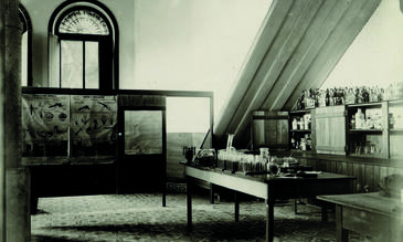 Laboratory interior with posters and a laboratory bench with test tubes