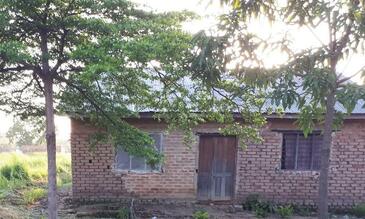 A typical example of improved housing beside a mosquito-producing rice field in rural Tanzania, constructed using bricks, timber and iron sheeting plus netting screens fitted over the windows.