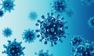 COVID-19 virus