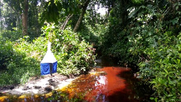 A picture of a river in a forest with a blue tsetse fly control measure situation next to it.