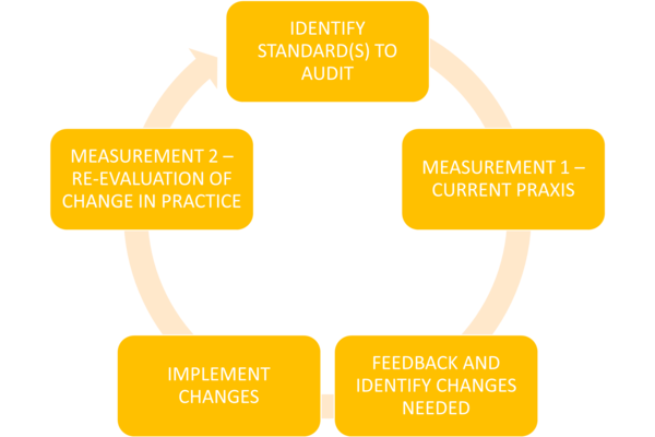 Standards-based Audit Cycle