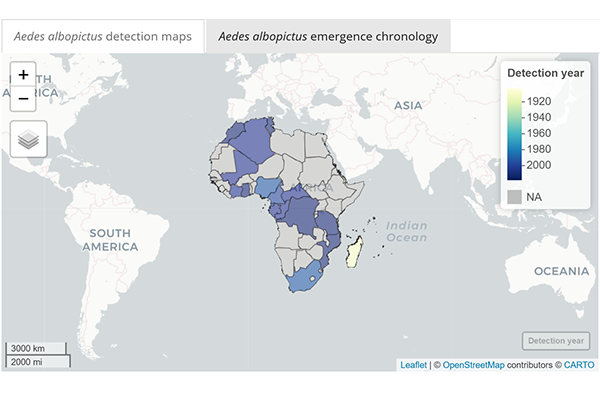 Screenshot of application visualising the chronology of Ae. albopictus detection within Africa.