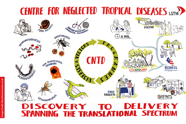 image credit: morethanminutes.com diagram of all LSTM NTD partnerships and consortia image credit: morethanminutes.com diagram of all LSTM NTD partnerships and consortia