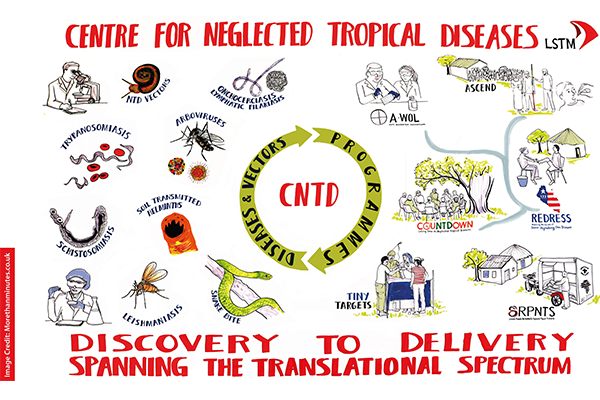 image credit: morethanminutes.com diagram of all LSTM NTD partnerships and consortia