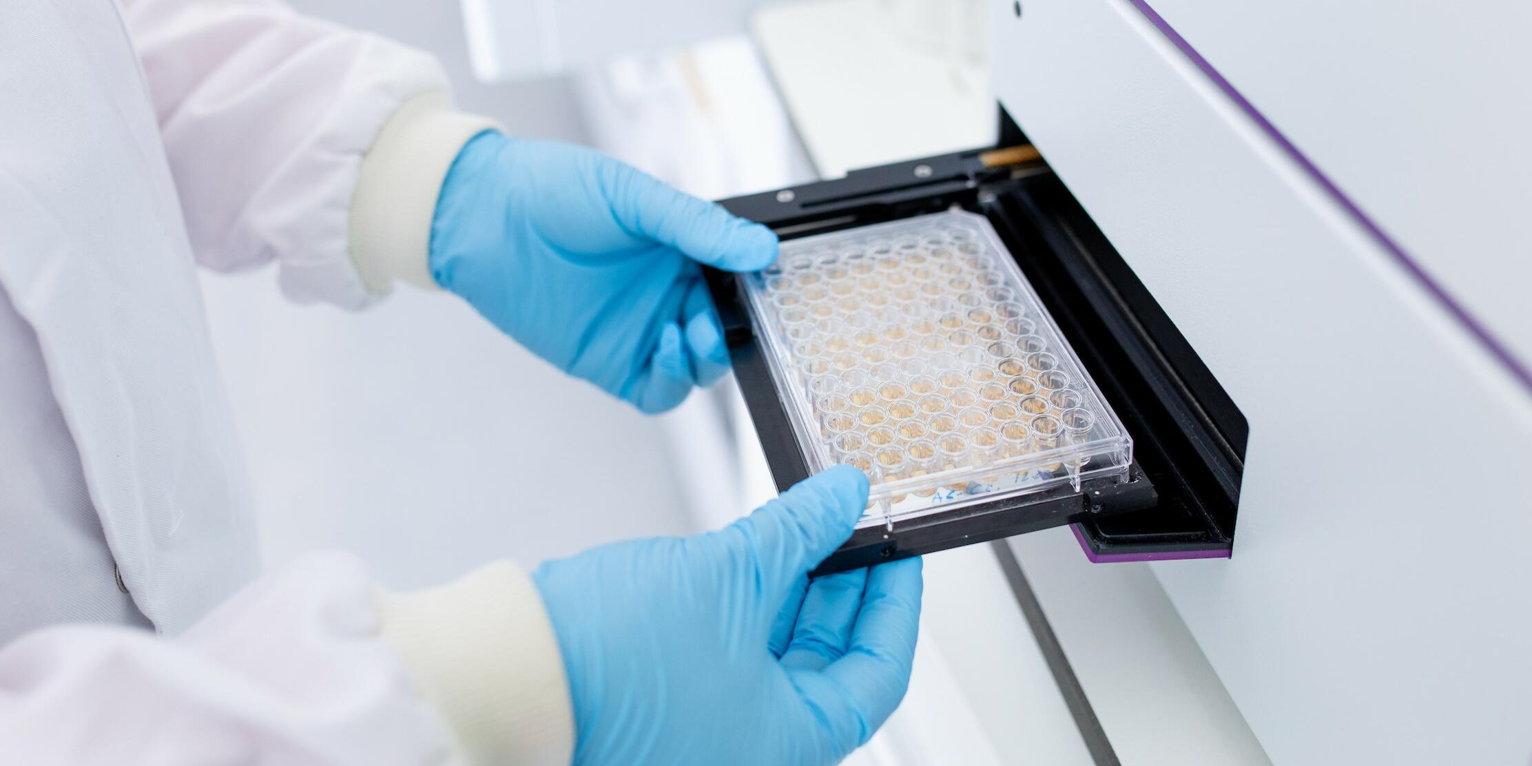 LSTM Lab Work