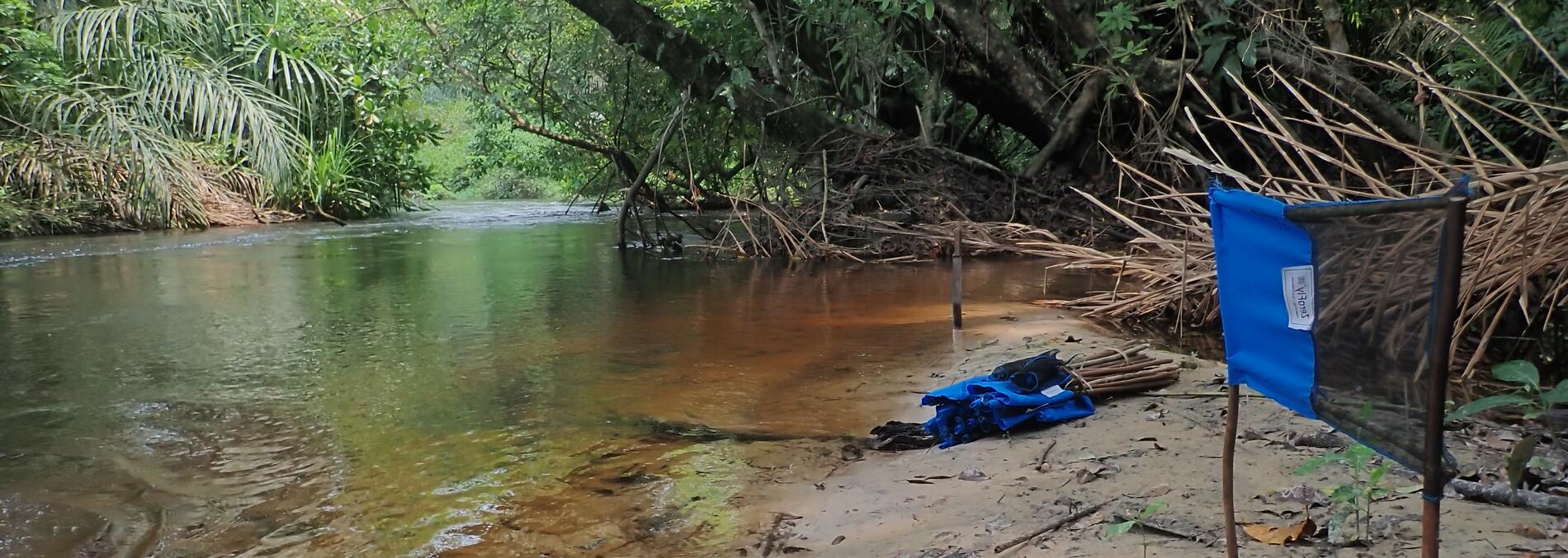 Tiny Targets project showing a river bank