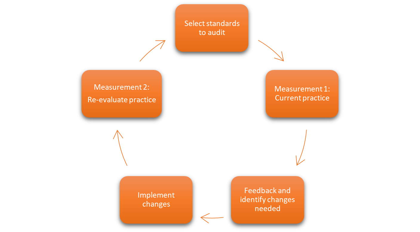 The standards-based audit (StBA) cycle  Source: Liverpool School of Tropical Medicine (LSTM)