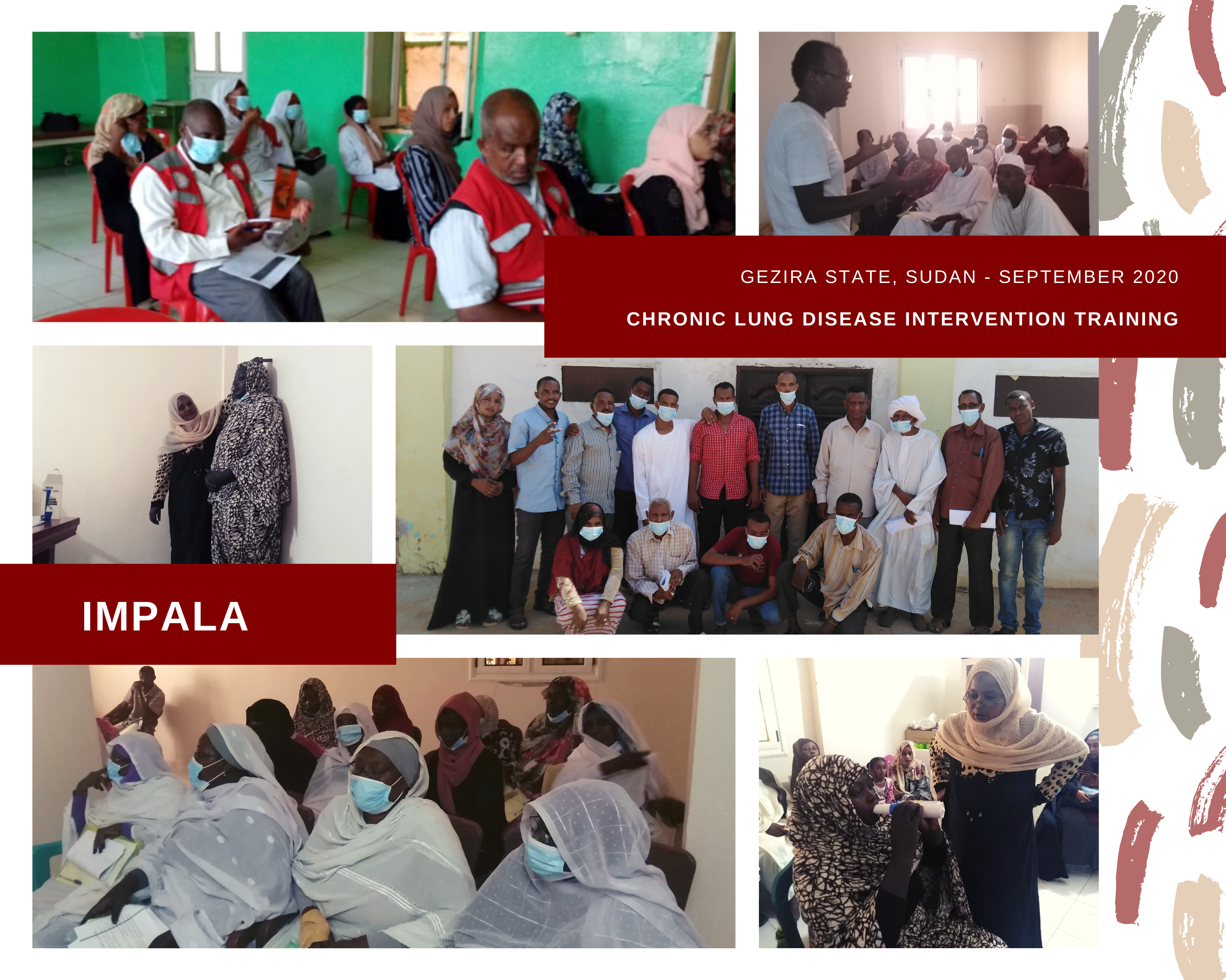 Collage of images taken during training in Gezira State, Sudan Collage of images taken during training in Gezira State, Sudan