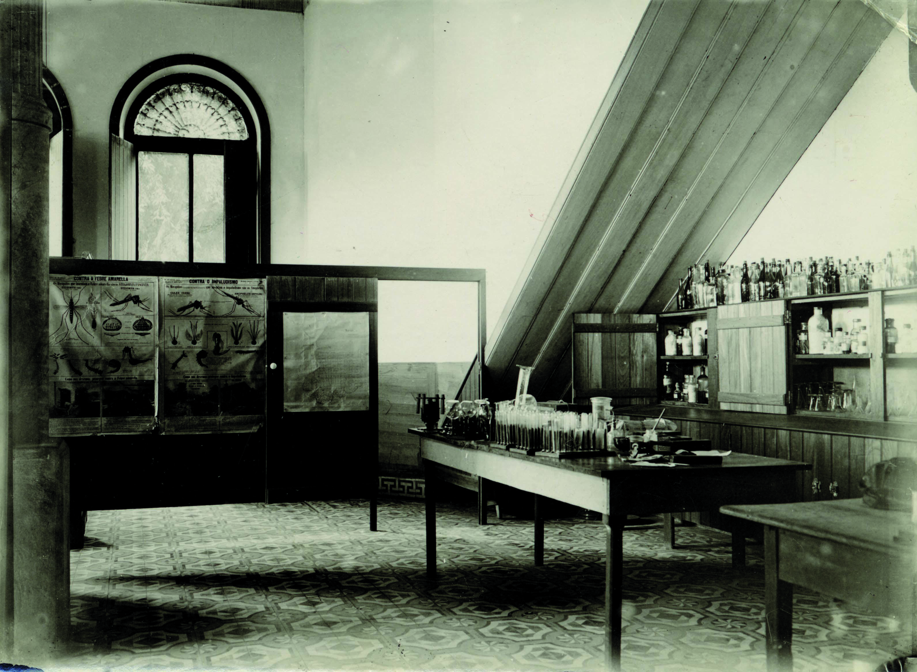 Laboratory interior with posters and a laboratory bench with test tubes