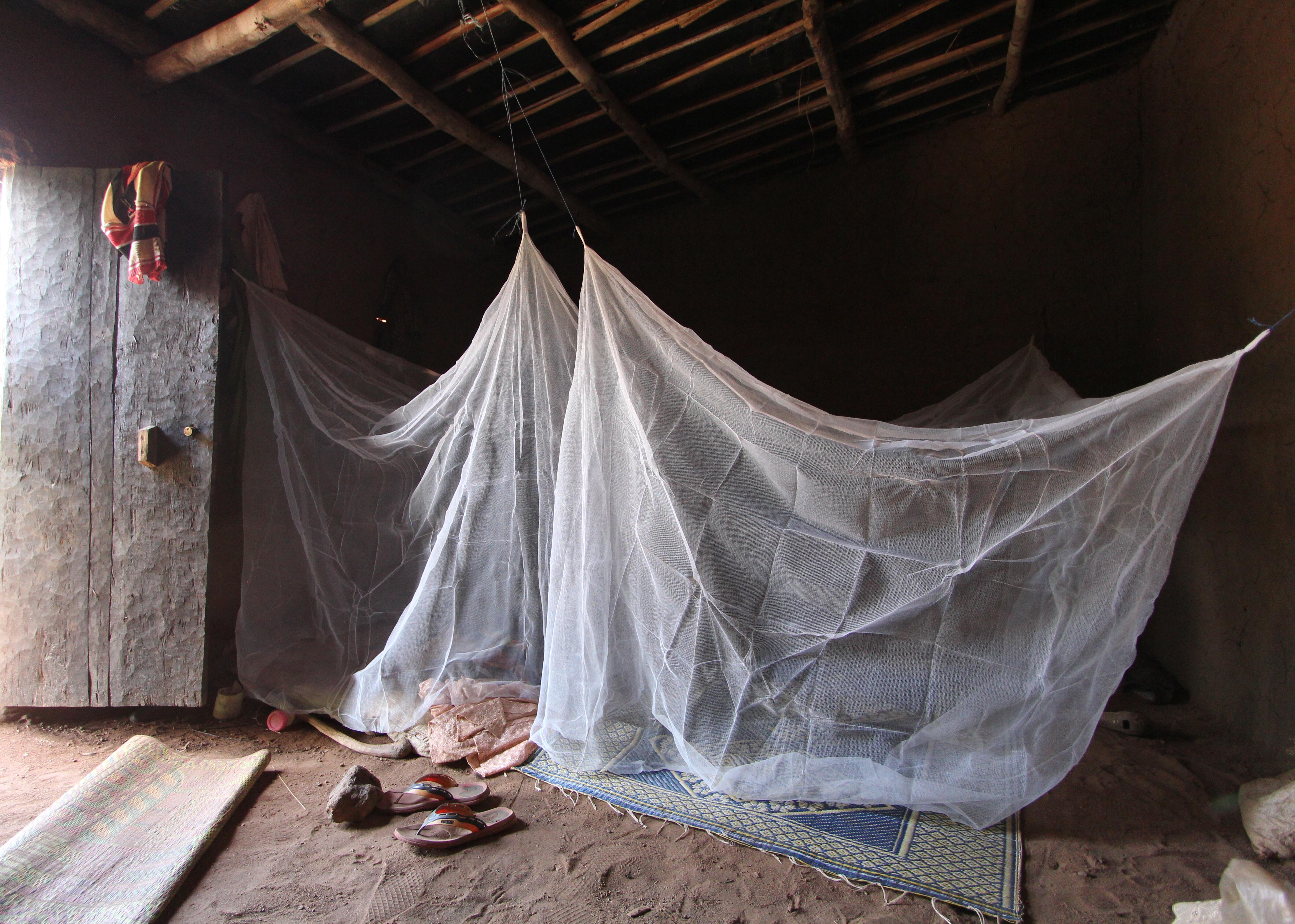 A study bed net in a living space in Burkina Faso. Credit: Durham University/Steve Lindsay