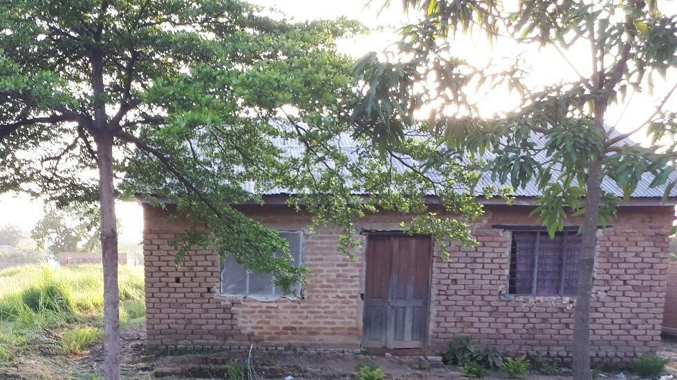 A typical example of improved housing beside a mosquito-producing rice field in rural Tanzania, constructed using bricks, timber and iron sheeting plus netting screens fitted over the windows. 