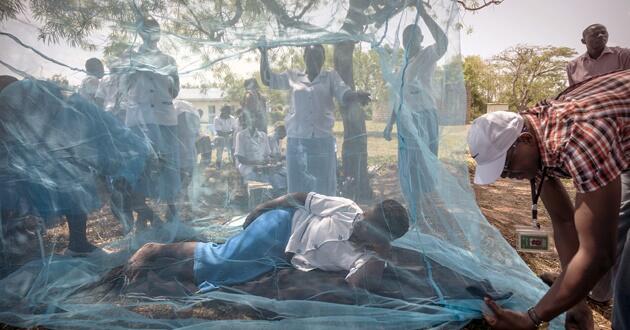 Health workers demonstrate bednets, Courtesy of Sven Torffin, WHO World Malaria Day 2017