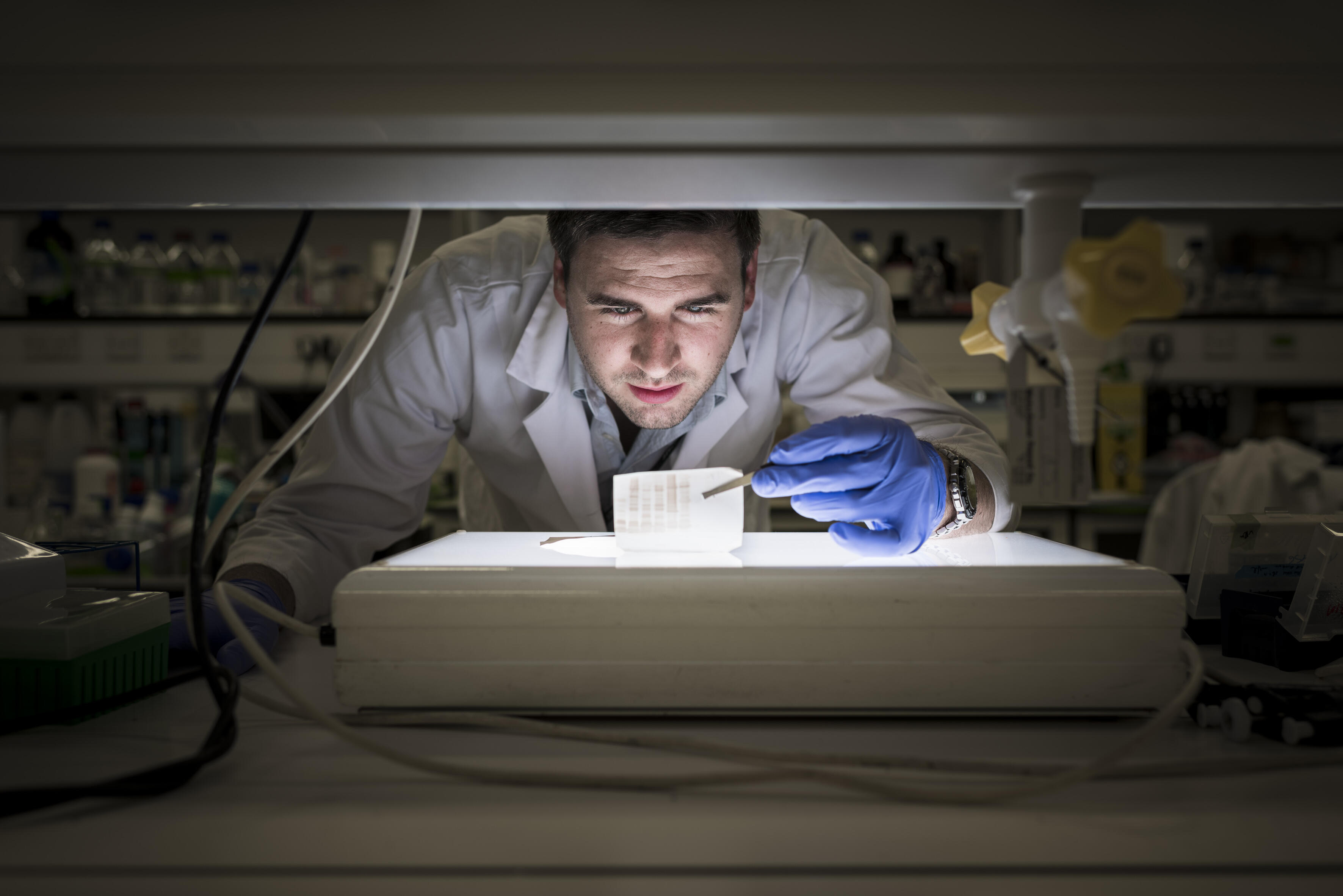 Nick Casewell in the laboratory studying toxin proteins