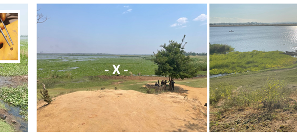 Snail collecting images with a focus upon Chikwawa 1 location where a single shell of Biomphalaria was found within the oxbow lake.This oxbowis now heavily colonised by water hyacinth, choking the shoreline designated "-X-" whereas previously, it was much clearer of this invasive water plant.