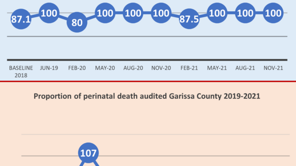 Figure 1: Proportion of maternal and perinatal death audited