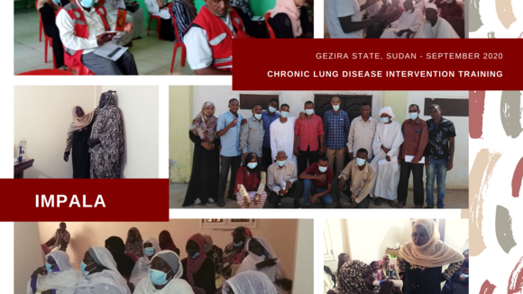 Collage of images taken during training in Gezira State, Sudan