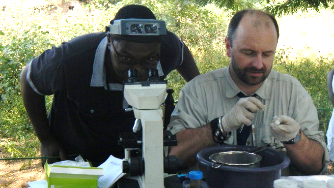 Dr Khumbo Kalua inspecting atypical eggs 