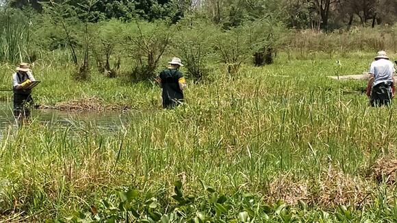 LSTM Tropical Disease Biology and Vector Researchers undertaking Vector surveillance in Malawi