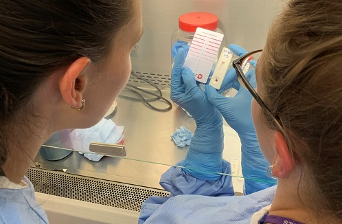 Mologic's rapid COVID-19 antigen test