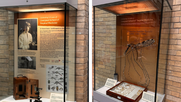 Two display cases containing archives relating to Alwen Evans