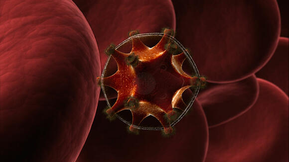 The HIV virus