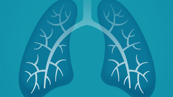 Lung illustration