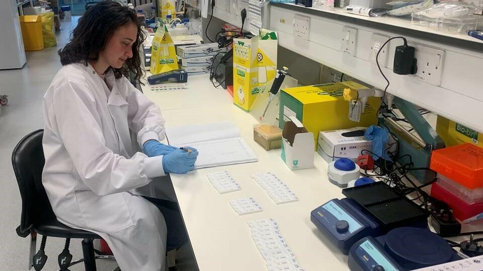 LSTM researcher Sophie is evaluating blood with different RDTs