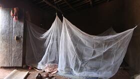 A study bed net in a living space in Burkina Faso. Credit: Durham University/Steve Lindsay