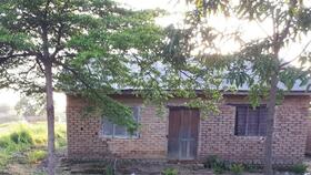 A typical example of improved housing beside a mosquito-producing rice field in rural Tanzania, constructed using bricks, timber and iron sheeting plus netting screens fitted over the windows.