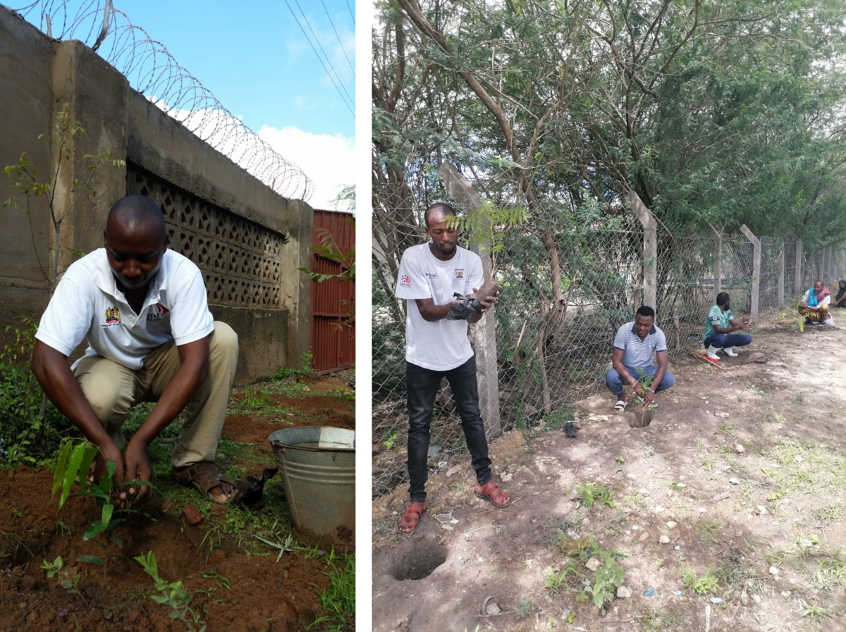     Staff at Ijara Sub County Hospital in Garissa plant trees along the hospital fence during National Tree Planting Day in November 2023/Credit: Matthew Ongoro, Nurse Midwife in Garissa