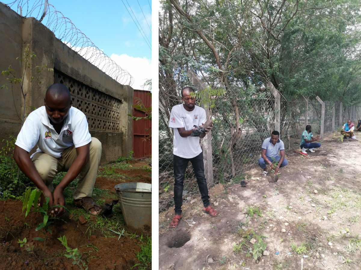  Staff of Ijara Subcounty Hospital in Garissa plant trees along the hospital fence during the national tree-planting day in November 2023/credit: Matthew Ongoro, Nurse Midwife in Garissa