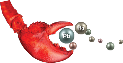 //www.rejuvenation-science.com/topics/micro-contaminant-detox. //www.rejuvenation-science.com/topics/micro-contaminant-detox.